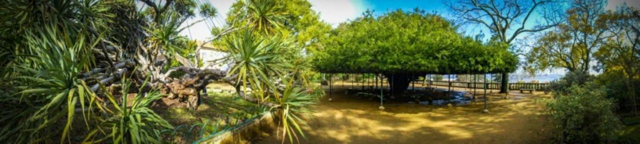 Retreat View Tagu River Lisboa Εξωτερικό φωτογραφία
